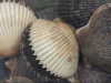 20130704_105639