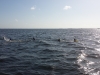 20130706_090538