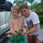 scalloping crystal river